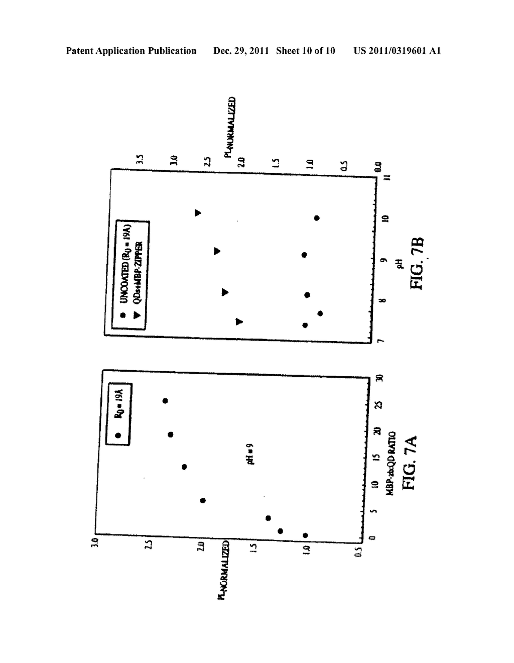 Inorganic Particle Conjugates - diagram, schematic, and image 11