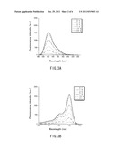 METHOD FOR FLUORESCENTLY LABELING PROTEIN diagram and image