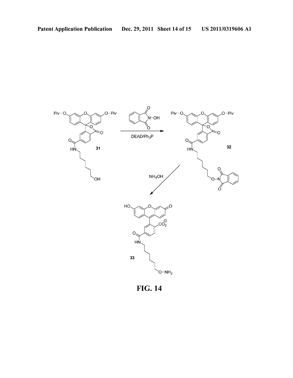 COMPOUNDS AND METHODS FOR LABELING OLIGONUCLEOTIDES - diagram, schematic, and image 15