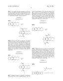 Fluorescent Dye and Use Thereof diagram and image