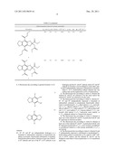 Fluorescent Dye and Use Thereof diagram and image