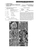 ORGANOMETALLIC CATALYST AND PREPARATION THEREOF diagram and image