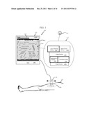 SYSTEM FOR NON-INVASIVE DETERMINATION OF GLYCOGEN STORES diagram and image