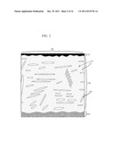 SYSTEM FOR NON-INVASIVE DETERMINATION OF GLYCOGEN STORES diagram and image