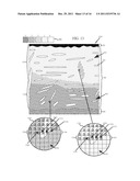 SYSTEM FOR NON-INVASIVE DETERMINATION OF GLYCOGEN STORES diagram and image