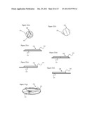 WOUND AND BANDAGE PROTECTION SYSTEM AND METHOD diagram and image