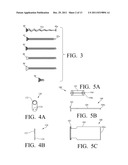 PLATE SYSTEM FOR MANAGING A BONE FRACTURE diagram and image