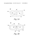 SPINAL FUSION IMPLANT diagram and image