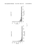 METHOD FOR IDENTIFICATION, PREDICTION AND PROGNOSIS OF CANCER     AGGRESSIVENESS diagram and image