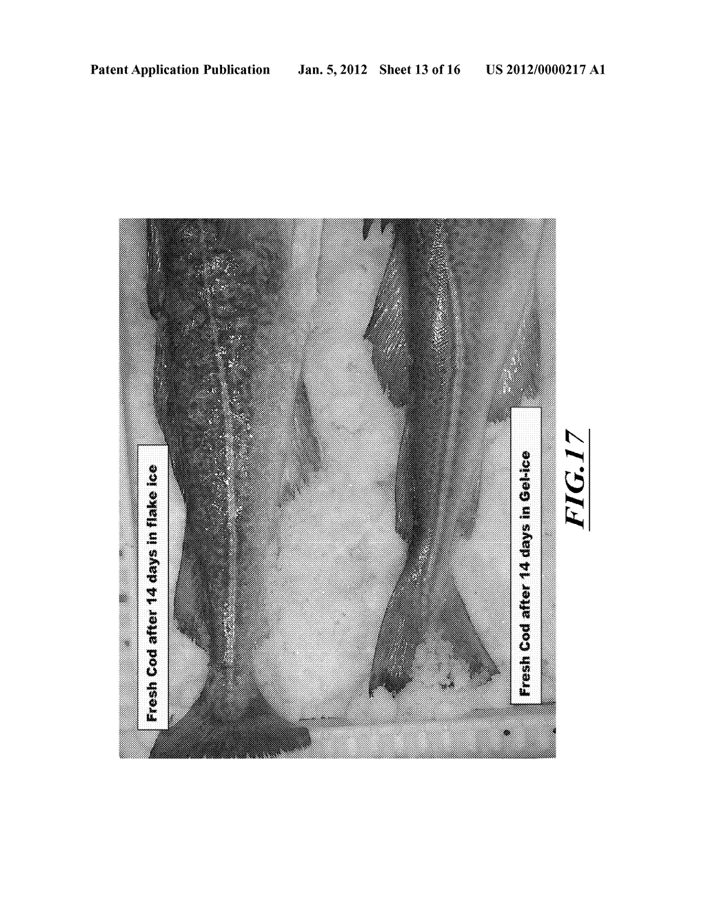 ULTRA-SMALL ICE, USES THEREOF AND APPARATUS FOR PRODUCTION - diagram, schematic, and image 14