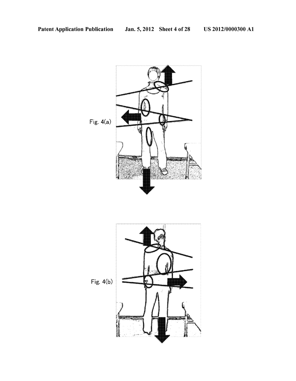 BODY CONDITION EVALUATION APPARATUS, CONDITION ESTIMATION APPARATUS,     STRIDE ESTIMATION APPARATUS, AND HEALTH MANAGEMENT SYSTEM - diagram, schematic, and image 05