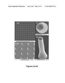 ELECTROCHEMICAL DEPOSITION PLATFORM FOR NANOSTRUCTURE FABRICATION diagram and image