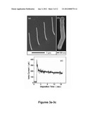 ELECTROCHEMICAL DEPOSITION PLATFORM FOR NANOSTRUCTURE FABRICATION diagram and image