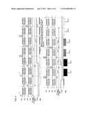 RADIOGRAPHIC IMAGING SYSTEM diagram and image