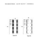 ULTRAHIGH DENSITY VERTICAL NAND MEMORY DEVICE AND METHOD OF MAKING THEREOF diagram and image