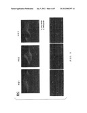 OPTICAL MULTILAYER BODY, POLARIZATION PLATE USING SAME, AND IMAGE DISPLAY diagram and image