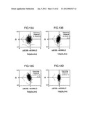 Adjusting Method For Recording Condition And Optical Disc Device diagram and image