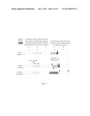 METHOD AND SYSTEM FOR AVOIDING INTERFERENCE CAUSED BY NON-SYNCHRONIZATION     IN RELAY TDD SYSTEM diagram and image