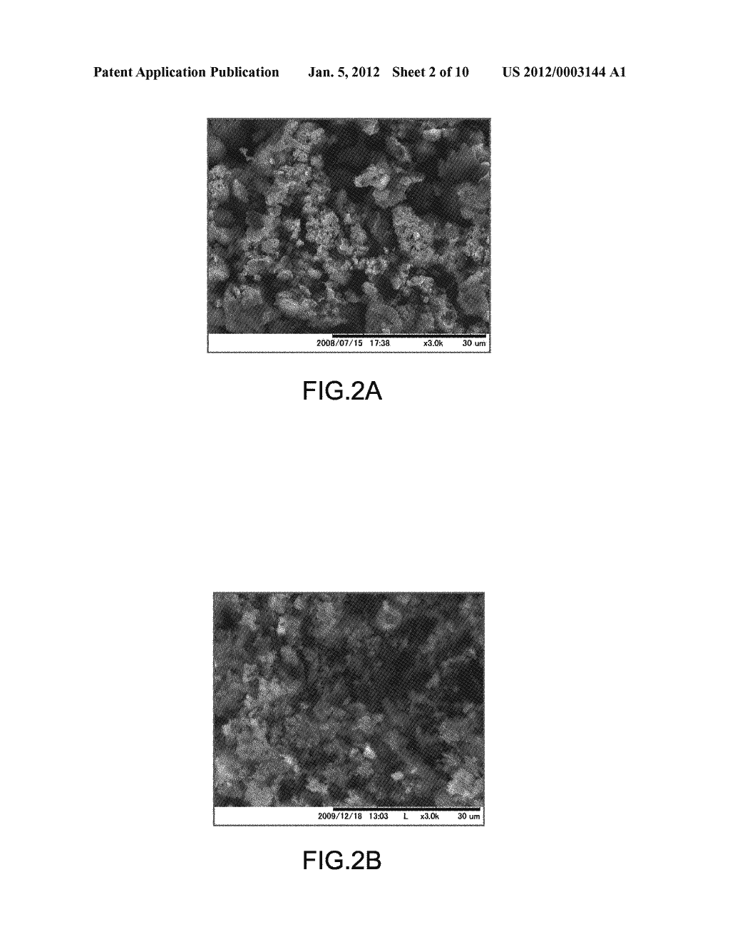 BONE TISSUE REGENERATION WITH CALCIFIED SUBSTANCE PRODUCED BY CULTURED     CELLS - diagram, schematic, and image 03