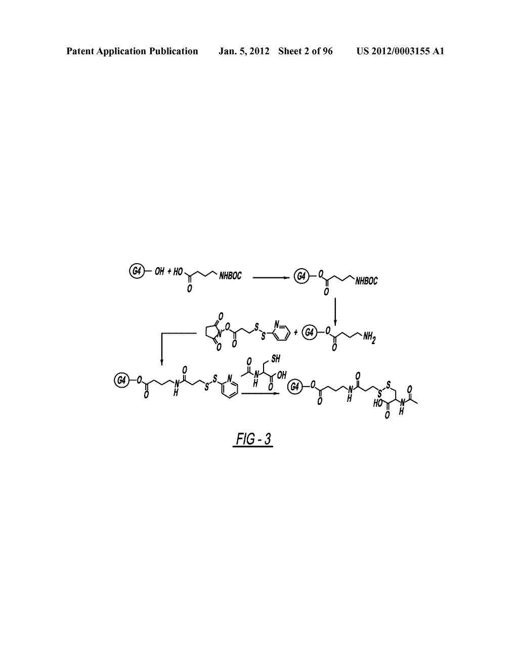 DENDRIMER BASED NANODEVICES FOR THERAPEUTIC AND IMAGING PURPOSES - diagram, schematic, and image 03