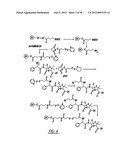 DENDRIMER BASED NANODEVICES FOR THERAPEUTIC AND IMAGING PURPOSES diagram and image