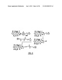 DENDRIMER BASED NANODEVICES FOR THERAPEUTIC AND IMAGING PURPOSES diagram and image