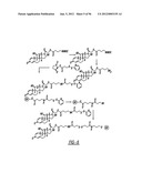 DENDRIMER BASED NANODEVICES FOR THERAPEUTIC AND IMAGING PURPOSES diagram and image