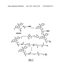 DENDRIMER BASED NANODEVICES FOR THERAPEUTIC AND IMAGING PURPOSES diagram and image