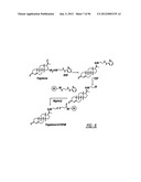 DENDRIMER BASED NANODEVICES FOR THERAPEUTIC AND IMAGING PURPOSES diagram and image