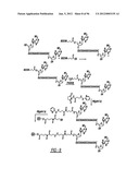 DENDRIMER BASED NANODEVICES FOR THERAPEUTIC AND IMAGING PURPOSES diagram and image