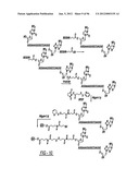 DENDRIMER BASED NANODEVICES FOR THERAPEUTIC AND IMAGING PURPOSES diagram and image