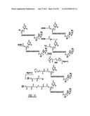 DENDRIMER BASED NANODEVICES FOR THERAPEUTIC AND IMAGING PURPOSES diagram and image