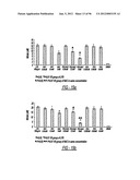 DENDRIMER BASED NANODEVICES FOR THERAPEUTIC AND IMAGING PURPOSES diagram and image