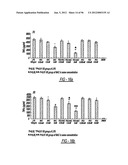 DENDRIMER BASED NANODEVICES FOR THERAPEUTIC AND IMAGING PURPOSES diagram and image