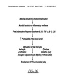 DENDRIMER BASED NANODEVICES FOR THERAPEUTIC AND IMAGING PURPOSES diagram and image