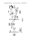 DENDRIMER BASED NANODEVICES FOR THERAPEUTIC AND IMAGING PURPOSES diagram and image