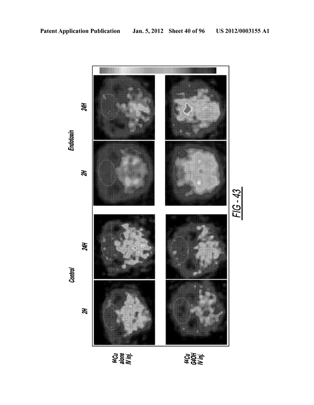 DENDRIMER BASED NANODEVICES FOR THERAPEUTIC AND IMAGING PURPOSES - diagram, schematic, and image 41