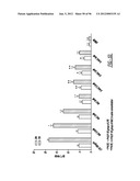 DENDRIMER BASED NANODEVICES FOR THERAPEUTIC AND IMAGING PURPOSES diagram and image