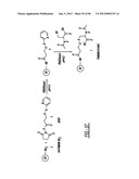 DENDRIMER BASED NANODEVICES FOR THERAPEUTIC AND IMAGING PURPOSES diagram and image