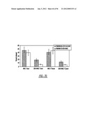 DENDRIMER BASED NANODEVICES FOR THERAPEUTIC AND IMAGING PURPOSES diagram and image