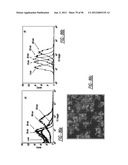 DENDRIMER BASED NANODEVICES FOR THERAPEUTIC AND IMAGING PURPOSES diagram and image