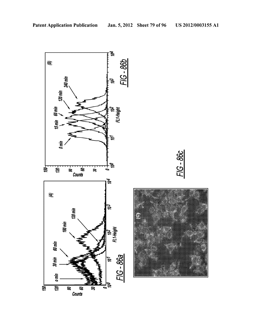 DENDRIMER BASED NANODEVICES FOR THERAPEUTIC AND IMAGING PURPOSES - diagram, schematic, and image 80