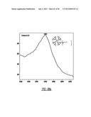 DENDRIMER BASED NANODEVICES FOR THERAPEUTIC AND IMAGING PURPOSES diagram and image