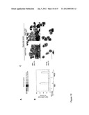 Novel Retinoid Inducible Factor and Uses Thereof diagram and image