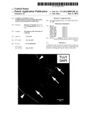 LATERAL VENTRICLE CELL COMPOSITIONS AND USE FOR TREATING NEURAL     DEGENERATIVE DISEASES diagram and image