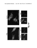 CNS DELIVERY OF THERAPEUTIC AGENTS diagram and image