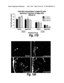 CNS DELIVERY OF THERAPEUTIC AGENTS diagram and image