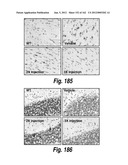 CNS DELIVERY OF THERAPEUTIC AGENTS diagram and image