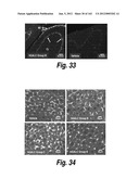 CNS DELIVERY OF THERAPEUTIC AGENTS diagram and image