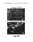 CNS DELIVERY OF THERAPEUTIC AGENTS diagram and image